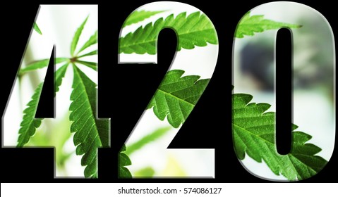 Marijuana Logo High Quality 