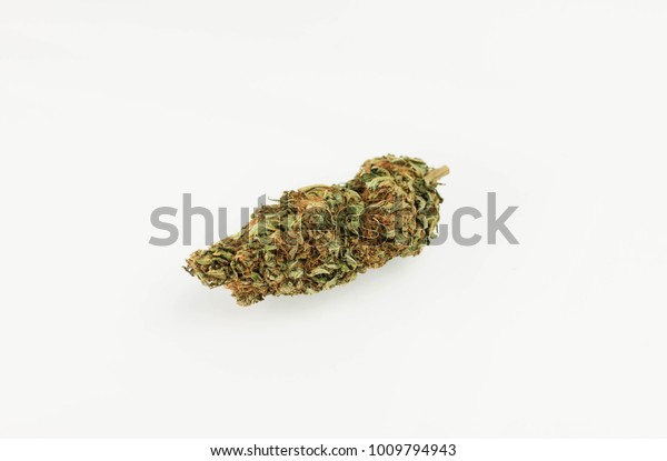 Marijuana Nug Close Showing Orange Hairs Objects Stock Image