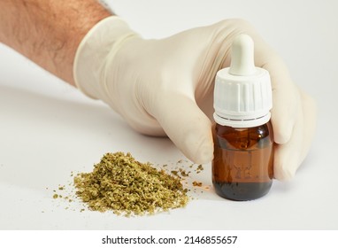 marijuana oil dropper bottle in hands of doctor with crushed marijuana in pile, white background