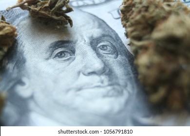 Marijuana Profits Close Up