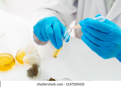 Marijuana Research In The Lab