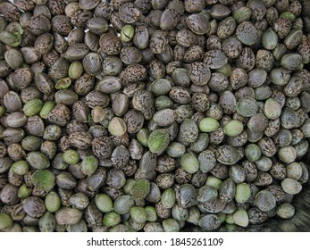 marijuana seeds close-up, grain texture background