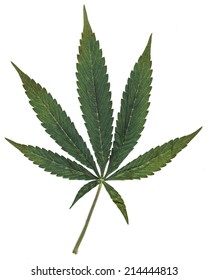 marijuana-seven-point-pot-leaf-260nw-214444813.jpg