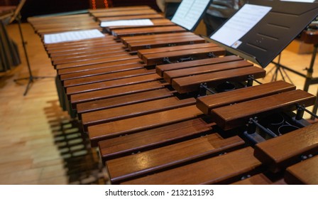 Marimba, Percussion Instrument. Orchestra Rehearsal.