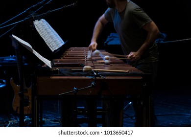 Marimba Player On The Stage Durin Rehearsals Closeup