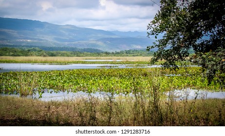 Marimbus, the Pantanal of Chapada Diamantina, with sierras, amphibian plants and rivers meeting near Andaraí, Bahia, Brazil - Shutterstock ID 1291283716