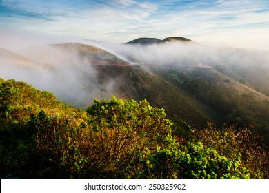 Marin Headland In Fog