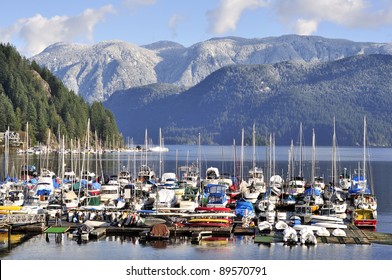 Marina In Deep Cove