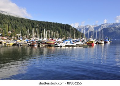 Marina In Deep Cove