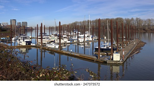 Marina And River Overlooking Portland High Rises And The Ross Island Bridge.