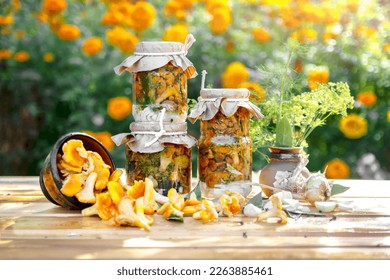 Marinated chanterelle mushrooms in glass jar on rustic background. Selective focus, space for text.