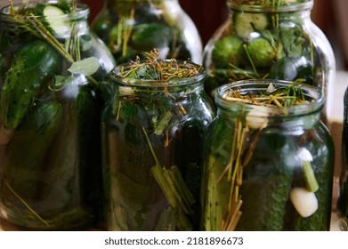 Marinated cucumbers preserved canned in glass jar. Pickled homemade gherkins with fresh dill. Autumn vegetables canning. Healthy homemade food. Family traditional recipe. Preservation, conservation.