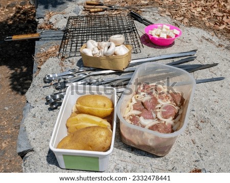 Marinated meat, potatoes, mushrooms, skewers and grill gridiron at picnic  