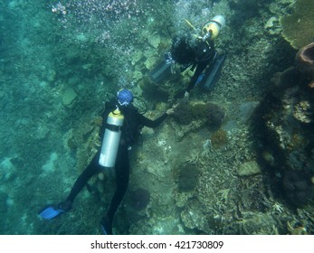 Marine Biologist Checking Coral Reef.