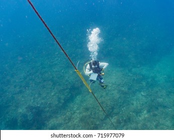 Marine Biologist Collecting Scientific Data 