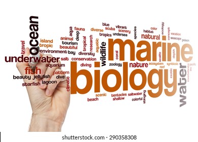 Marine Biology Word Cloud Concept