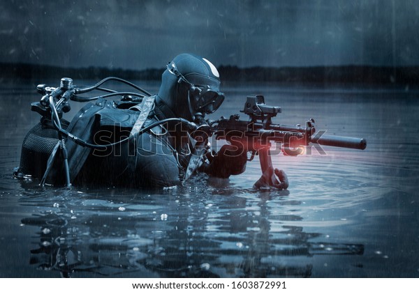 Marine Comes Out Water Moves Toward Stock Photo (Edit Now) 1603872991