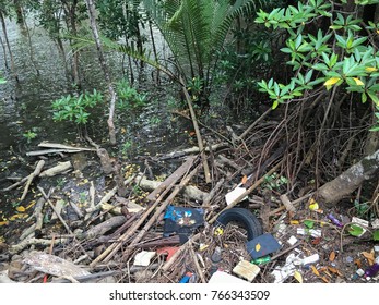 Marine Debris Mangrove Forest Stock Photo 766343509 | Shutterstock