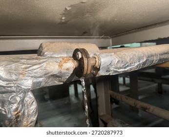 Marine engineer completes condensate return line leakage repair aboard container vessel ensuring thermal system efficiency operational safety continuous propulsion support.