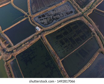 Marine Industry In Indonesia. Fish Farms On Land. Fish Storage Ponds As Livestock View From Above With Aerial Drone Camera