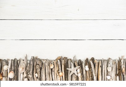 Marine items on driftwood, sea objects decoration on white wood background.