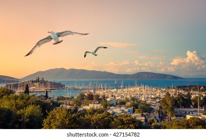 Marine landscape with yachts in a Bodrum harbor. Seaside view with medieval castle of St. Peter at sunrise. Travel and vacation in Turkey - leisure and yachting on Turkish Riviera. - Powered by Shutterstock