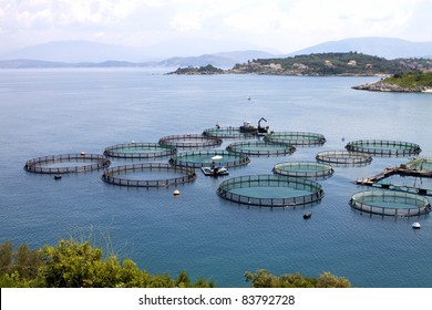 Marine Open Water Fish Farm