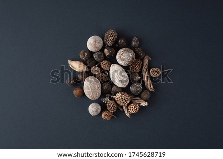 Similar – Dried poppy seed capsules on an old metal plate