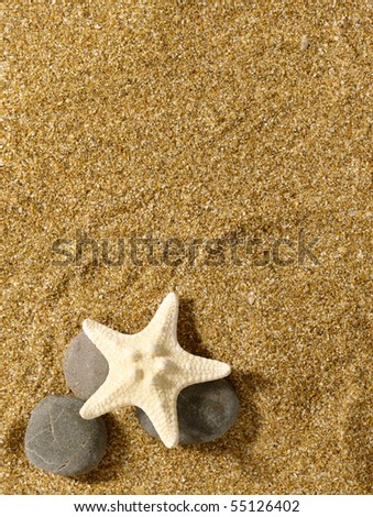 Similar – Image, Stock Photo Sandy beach with toy shovel and starfish