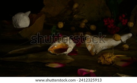 Marine still life with shells, coral, papaya, avocado, petals, seeds. Wallpaper for kitchens or restaurants