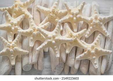 Marine Summer Wallpaper. White Starfish On White Driftwood Sticks On Board Background.Summer Nautical Decor.Background In A Marine Style In White And Beige Tones.