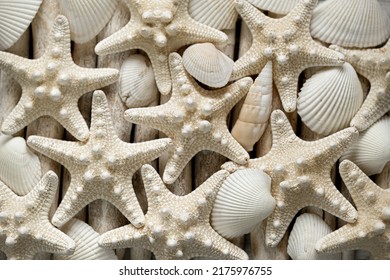  Marine Wallpaper.Starfish And Sea Shells In Pastel Beige Colors. Nautical Beige Starfish On White Driftwood Sticks Close-up.nautical Decor.