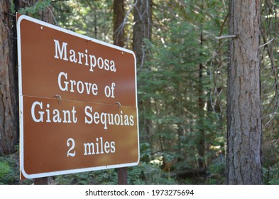 Mariposa Grove Of Giant Sequoias Sign