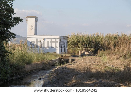 Similar – Cattle Egret Plant Animal