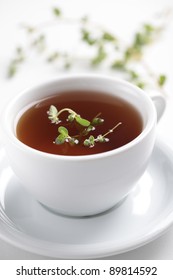 Marjoram Tea In White Cup Closeup