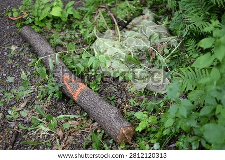 A mark on a tree that must be felled