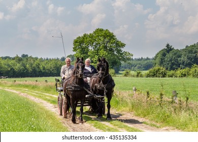 MARKELO, NETHERLANDS - JUNE 3, 2016:Two Black Frisian Horse And Two Older Man In A Traditional Dutch Carriage In Agricultural Area.