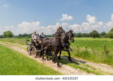 MARKELO, NETHERLANDS - JUNE 3, 2016:Two Black Frisian Horse And Two Older Man In A Traditional Dutch Carriage In Agricultural Area.