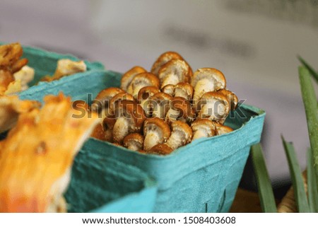 Similar – autumn blues Food Mushroom