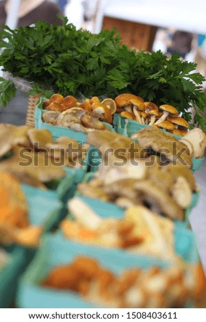 Similar – autumn blues Food Mushroom