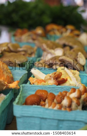 Similar – autumn blues Food Mushroom