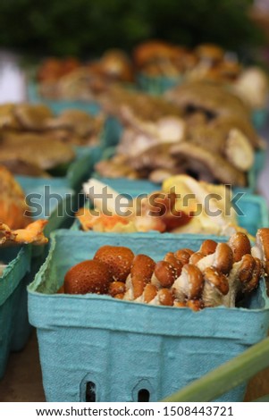 Similar – autumn blues Food Mushroom