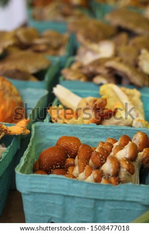 Similar – autumn blues Food Mushroom