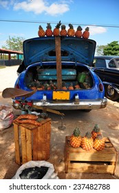 Market Place In Cuba