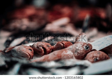 Similar – Image, Stock Photo show teeth Food Fish