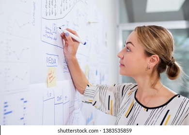 Marketing manager drawing scheme on whiteboard
