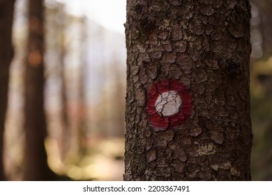 Marking Sign Of Correct Hiking Trail In Forest, Painted On A Tree. Selective Focus. Soft Focus Background.