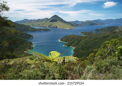 Marlborough Sounds, New Zealand