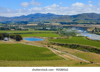 Marlborough Wine Region In New Zealand