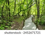 Marmaris, Gunnucek Nature Park is home to many endemic plant species and birds such as the sigla tree. A unique park by the sea for hiking and yoga.